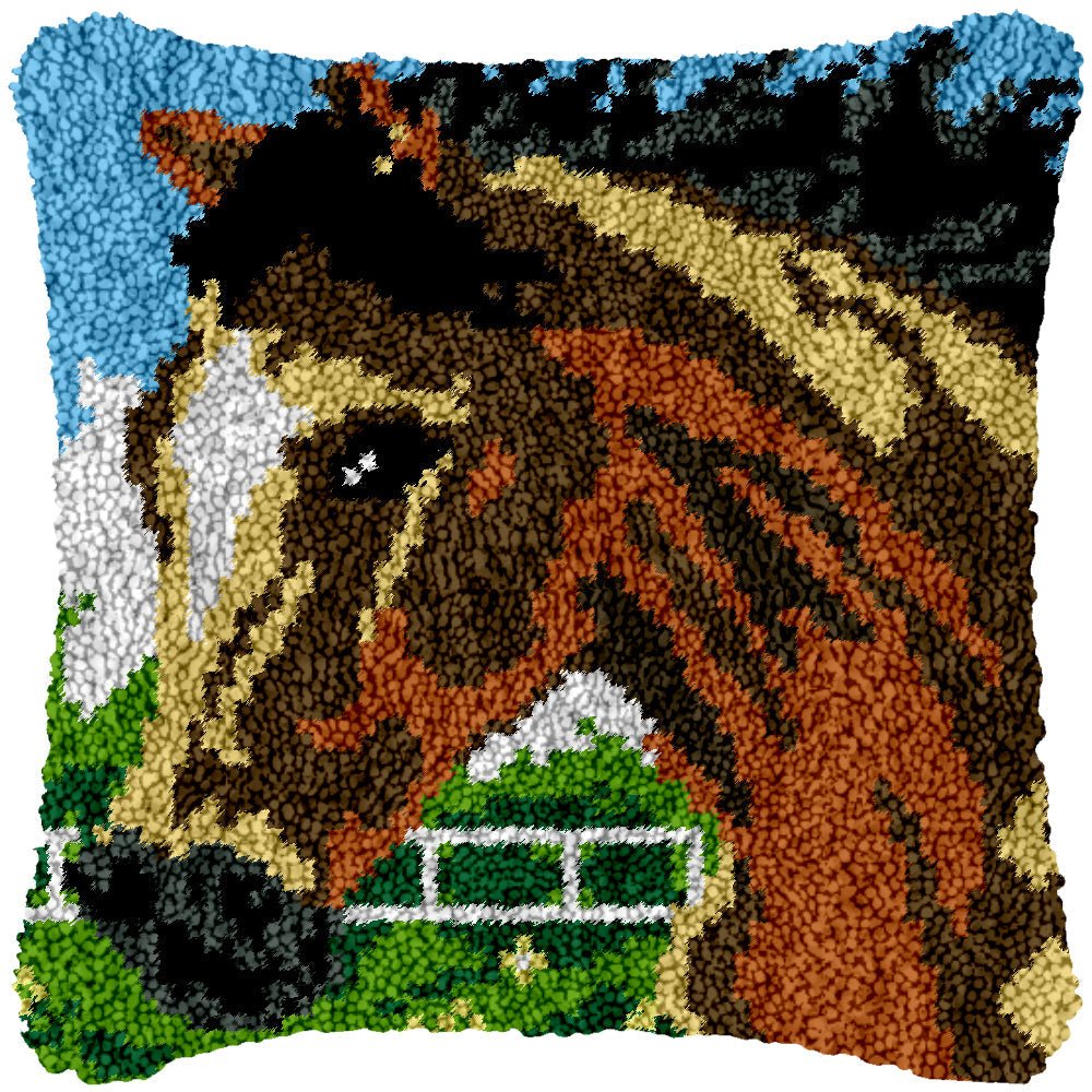 Popular DIY Latch Hook Rug Kits Animal Pillow Case Making for Kids  Beginners - Horse 